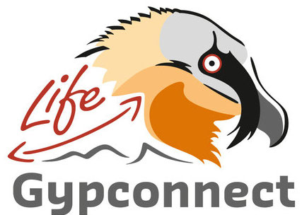 life gypconnect logo