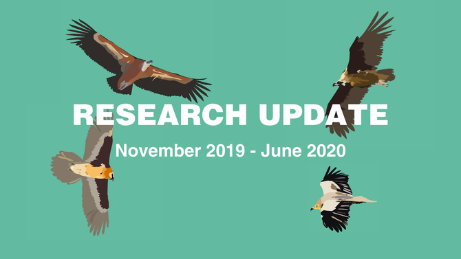 Vulture Ecology Study: 2020 Update  Golden Gate National Parks Conservancy