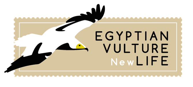 Egyptian Vulture New LIFE logo