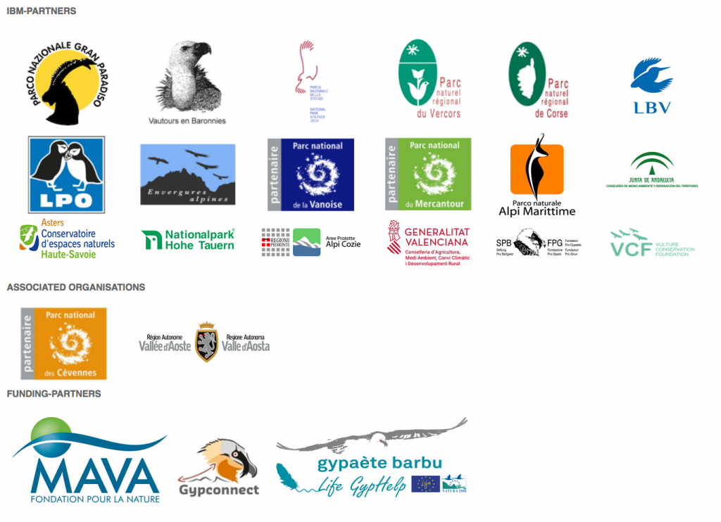 International Bearded Vulture Monitoring Network (IBM) partners funders