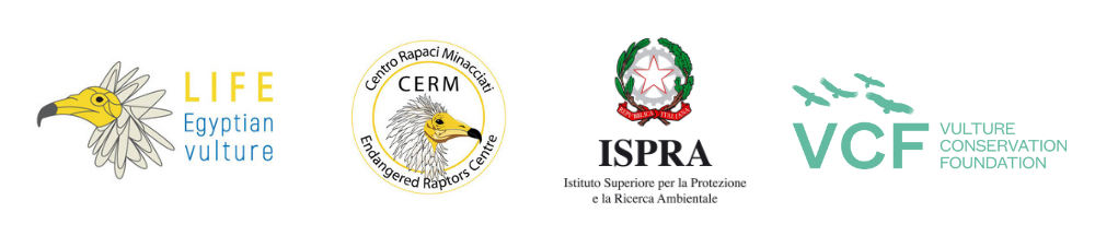 egyptian vulture italy restocking monitoring logos