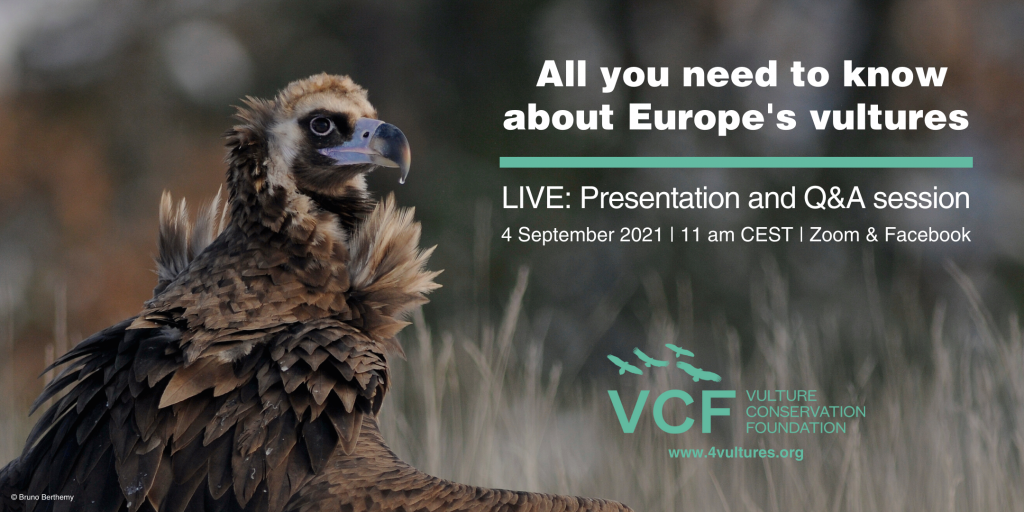 International Vulture Awareness Day event Europe's vultures