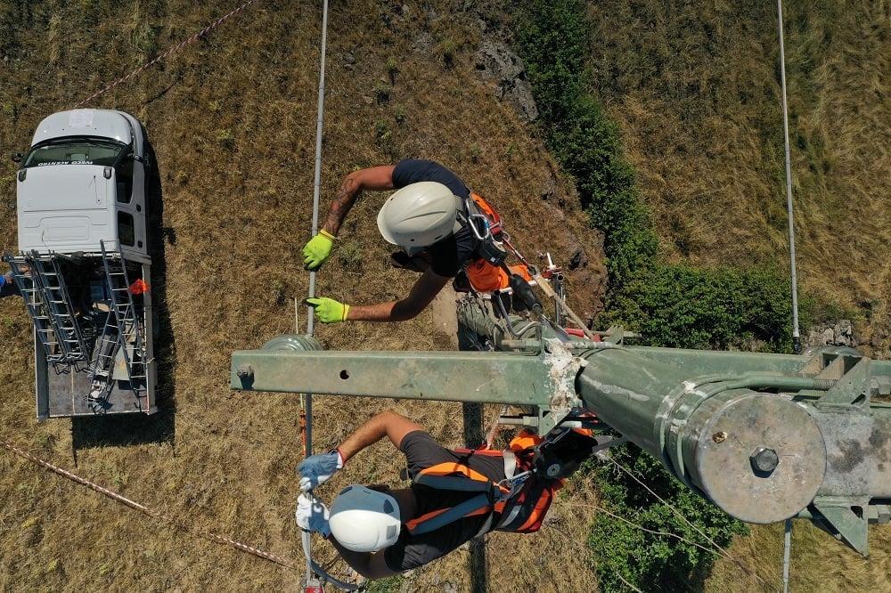 Minimising the risk of electrocution for Griffon Vultures in Sardinia