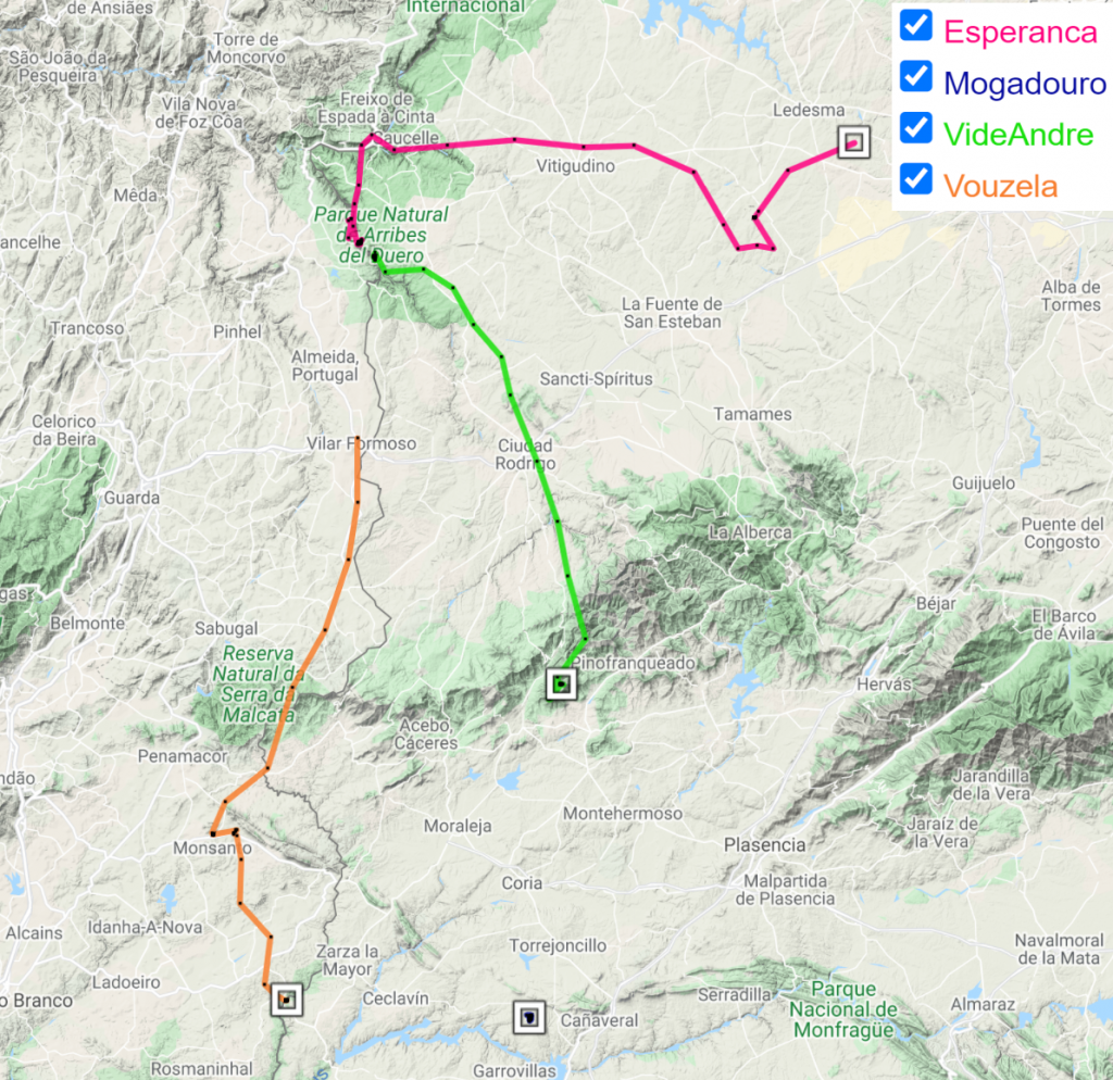 Map showing the GPS movements of the tagged and released vultures after their release