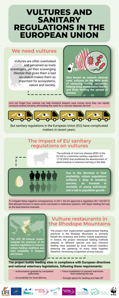 Vultures and Sanitary Regulations in the EU infographic