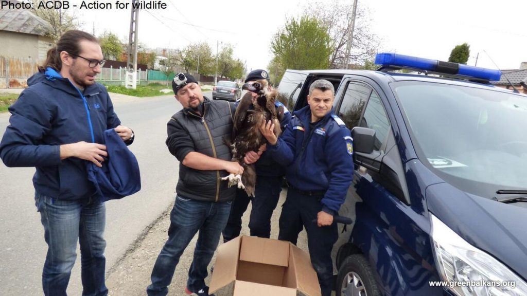 Rescue of Kutelka in Romania