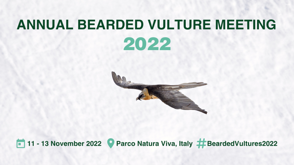 annual bearded vulture meeting 2022 banner