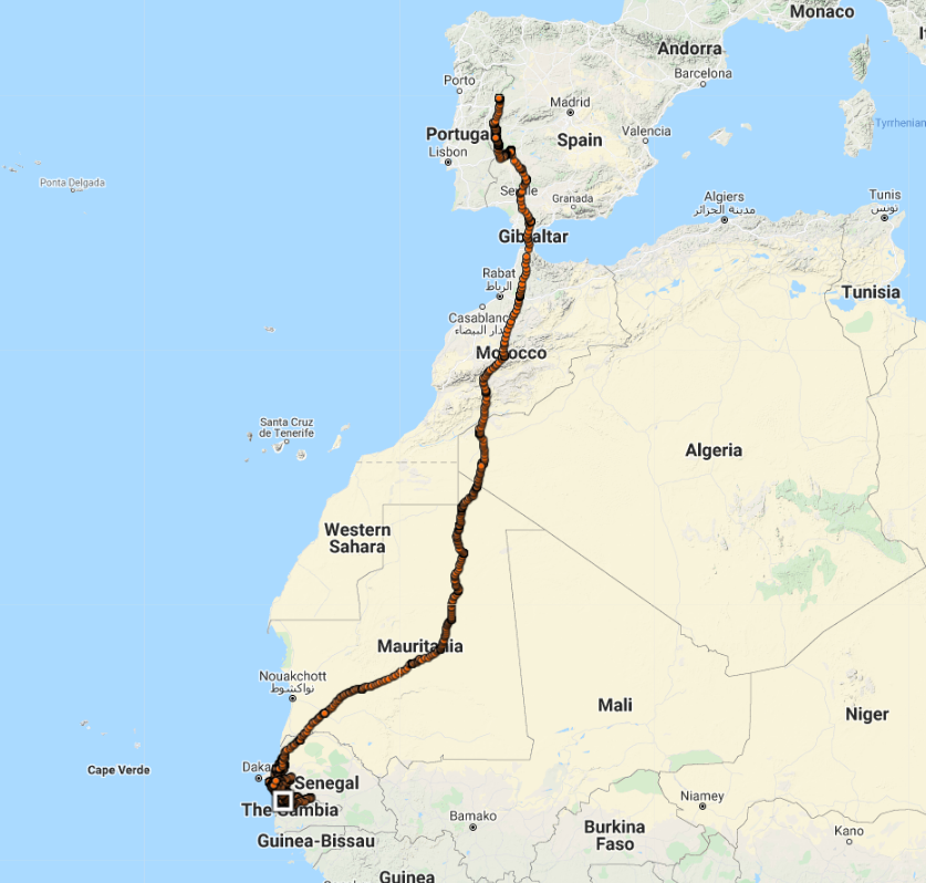 Rüppell's Vulture Vouzela full range movements in Africa