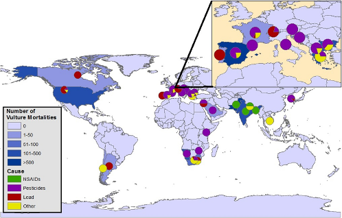 Figure 1. A Global Review of Causes of Morbidity and Mortality in Free-Living Vultures