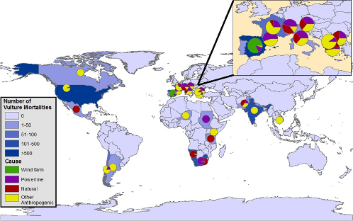 Figure 2: Number of vulture mortalities related to trauma by country highlighting frequency of mortalities due to wind farms, power line, natural, and other anthropogenic traumatic causes within each country. (From Ives et al. 2022).