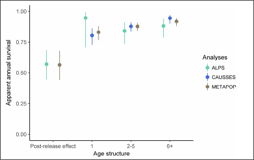 Figure 2 High long-term survival and asymmetric movements in a reintroduced metapopulation of Cinereous vultures