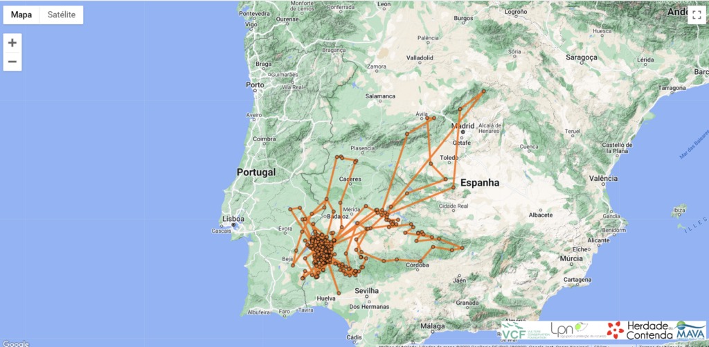 Following the movements of Monsanto for 16 months