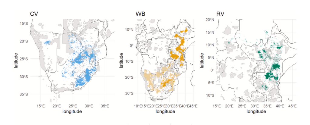 Africa vulture safe zones telemetry study_Figure 1. Distribution of tracks of the three species used in the analysis. CV = Cape vultures; WB = White-backed vultures; RV = Rüppell's vultures. Light orange represents the southern population of White-backed vultures, and dark orange the eastern population. Protected areas are shown in grey and are taken from http s://www.protectedplanet.net/. From Kane et al. 2022.  