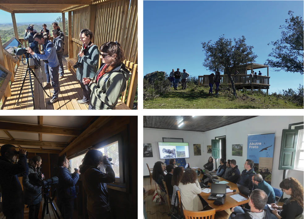 Visiting hides and observatories at Herdade da Contenda and partners meeting © Alice Gama, Milene Matos, Bárbara Pais 