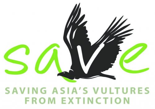 save vultures asia logo