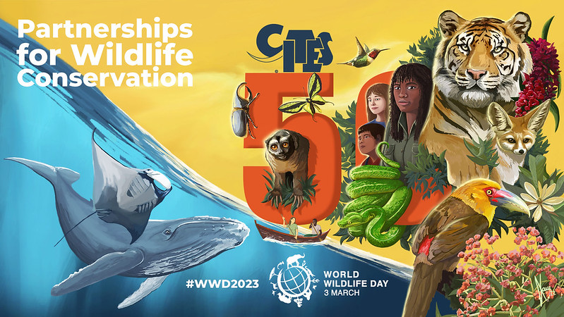 world-wildlife-day-partnerships-for-conservation-Xavi-Rene-@wildlife_erra