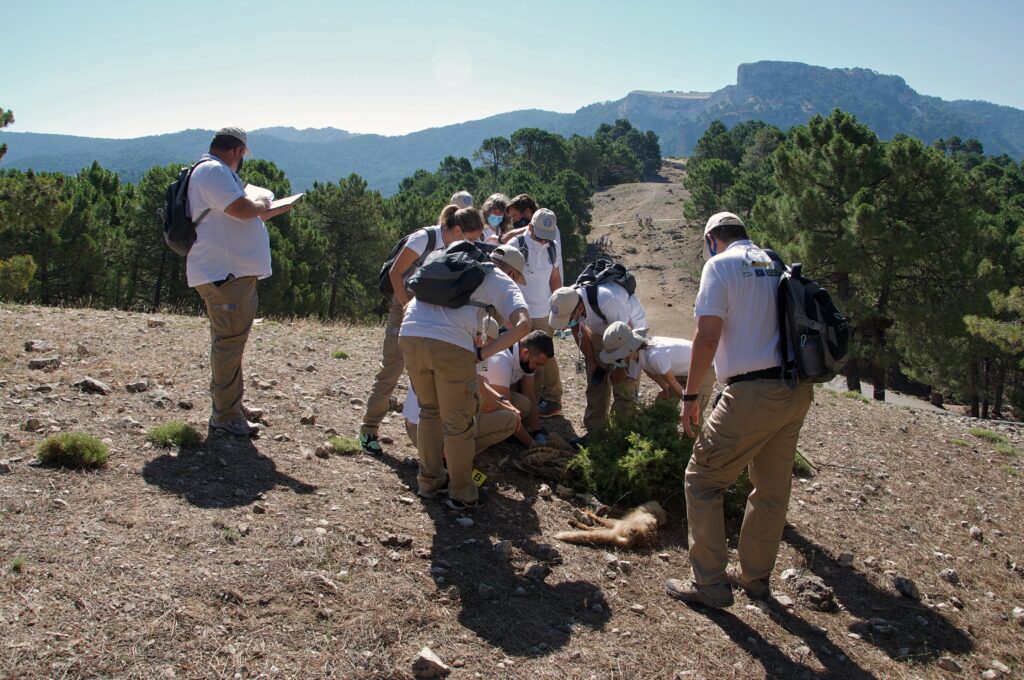 Wildlife Crime Academy © Vulture Conservation Foundation