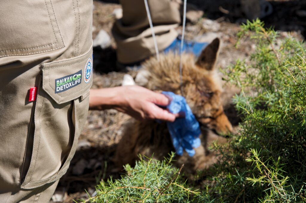 Wildlife Crime Academy © Vulture Conservation Foundation