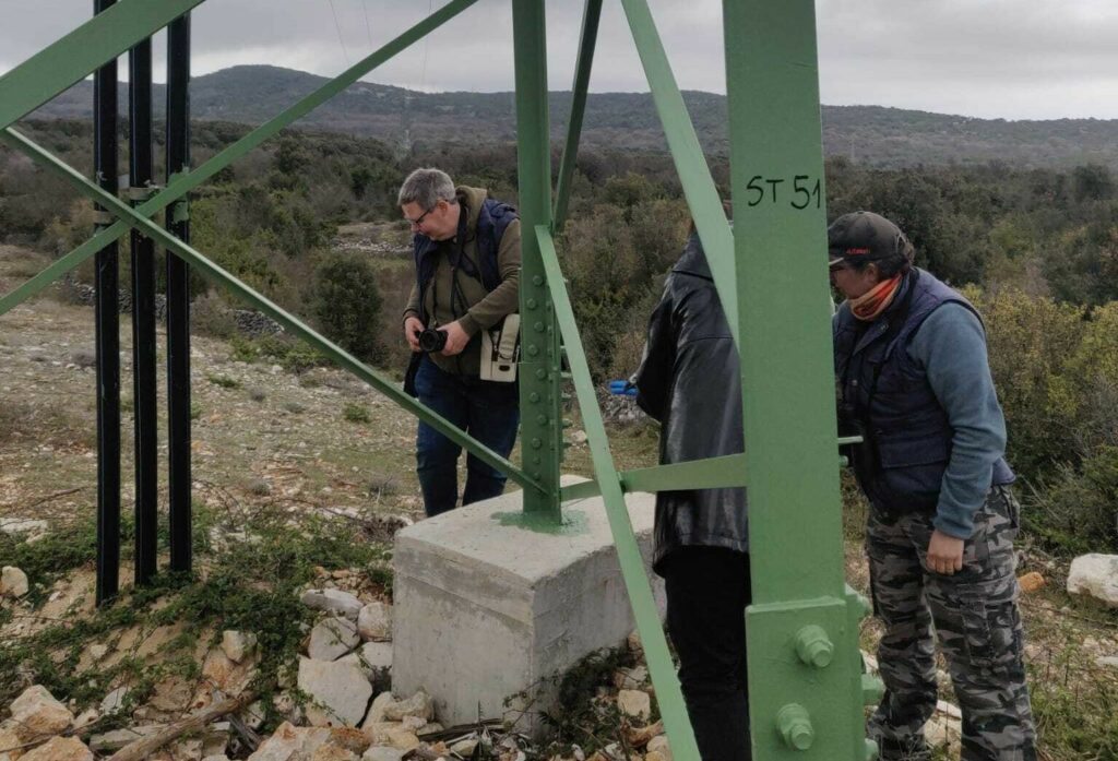 Monitoring power lines at Cres in Croatia to prevent electrocution