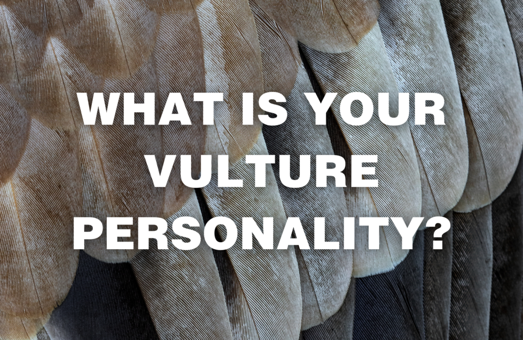 international vulture awareness day ivad quiz vulture personality