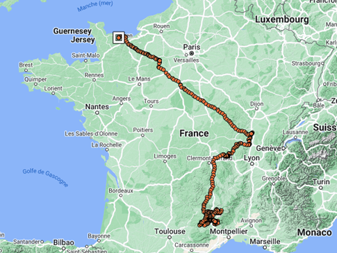 bearded vulture sagras movements