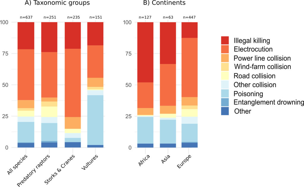 Plots showing the percentages of human-related causes of mortality for large migratory birds by taxonomic groups (A) and continents (B), from Serratosa et al. (2024).