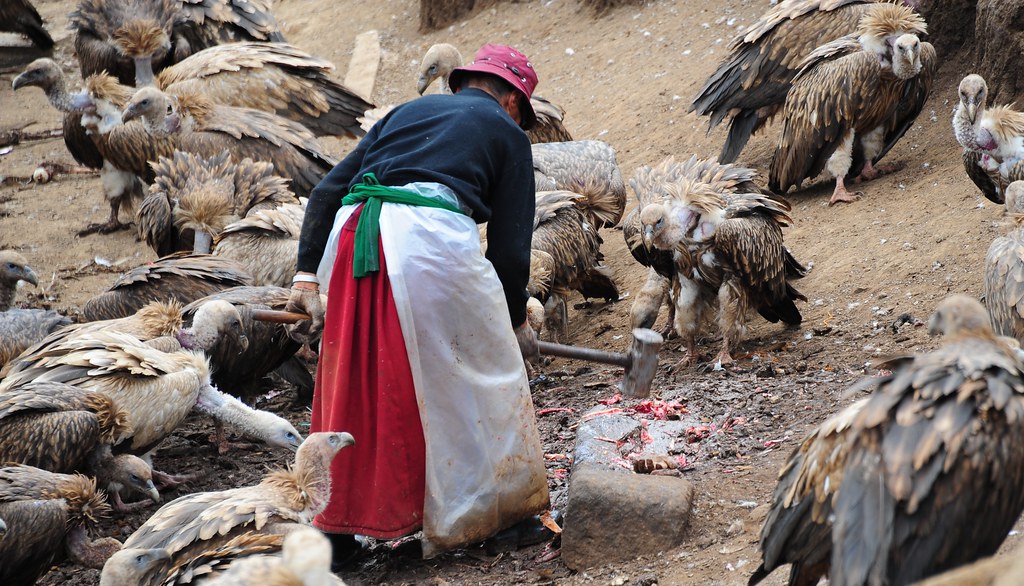 a woman breaking bones with a hammer and vultures waiting to feed on them