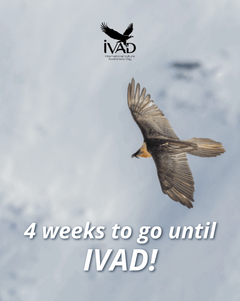 IVAD 2025