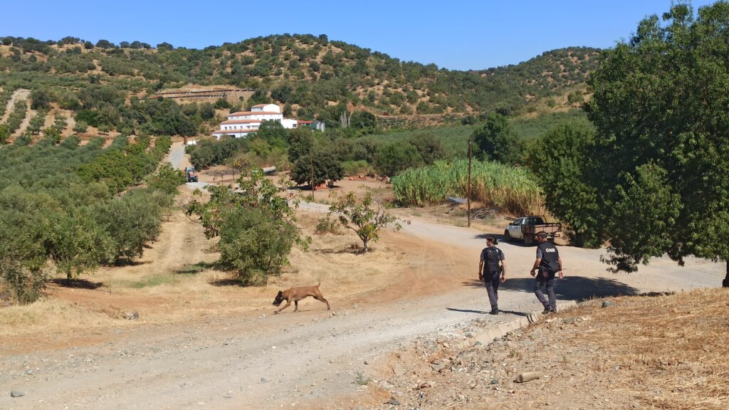 Demonstration by the Canine Intervention Group of the GNR. ©VCF