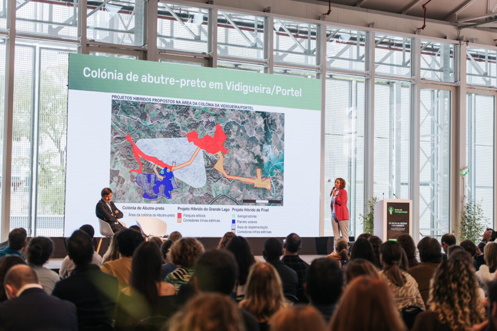 Participation of the LIFE Aegypius Return project in EMER's 4th Transformer Station. ©EMER