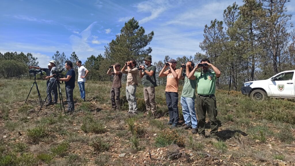 Technical meeting to monitor the Cinereous Vulture in Serra da Malcata © VCF