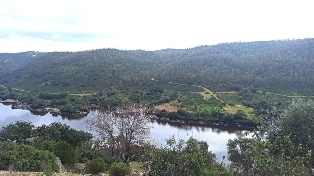 Tejo international park landscape with hills, trees and a river