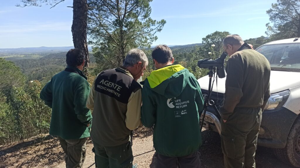 four men monitoring Cinereous Vultures from a far usig binoculars