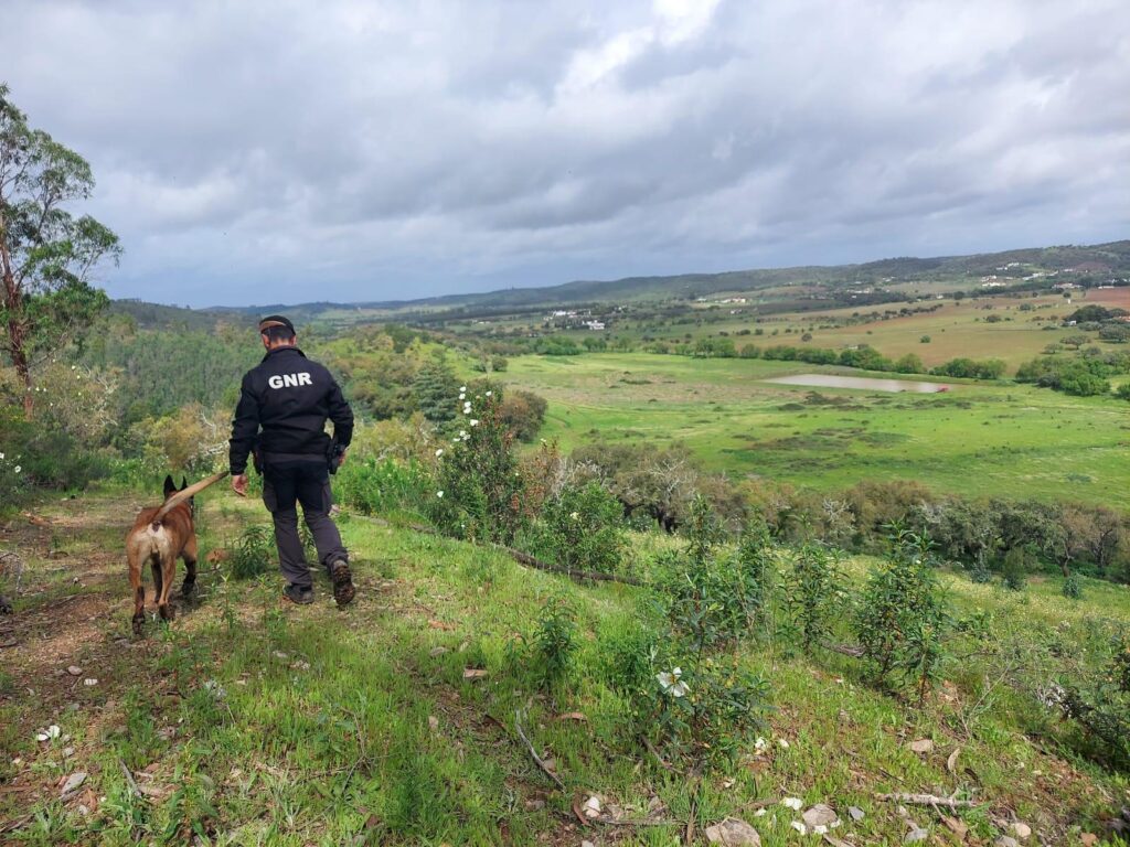 Canine patrol © GNR