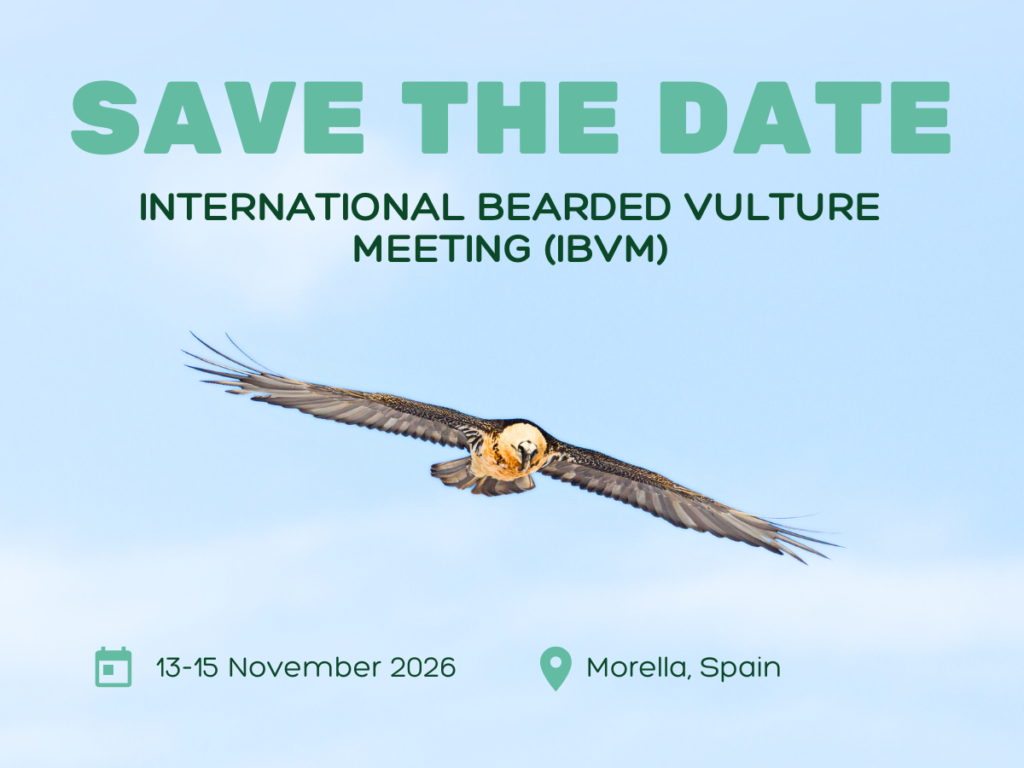Save the date IBVM 2026