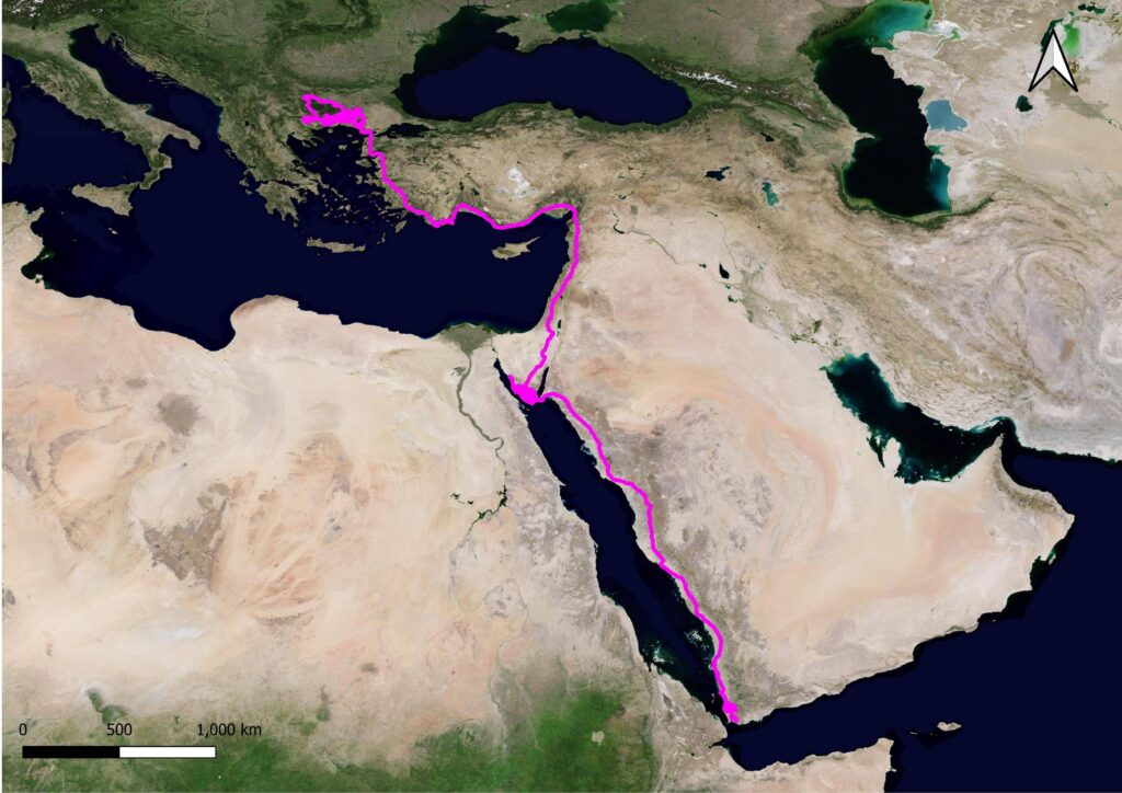 Egyptian Vulture movements from Bulgarian to Yemen