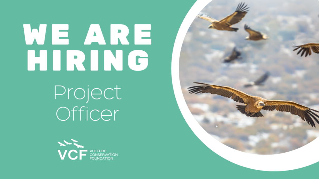 job project officer vcf