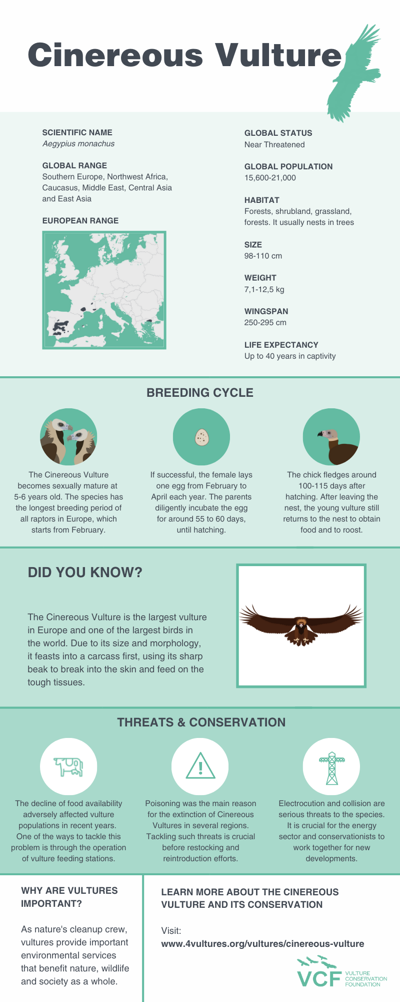 International Vulture Awareness Day 2021 is two weeks away - Vulture ...
