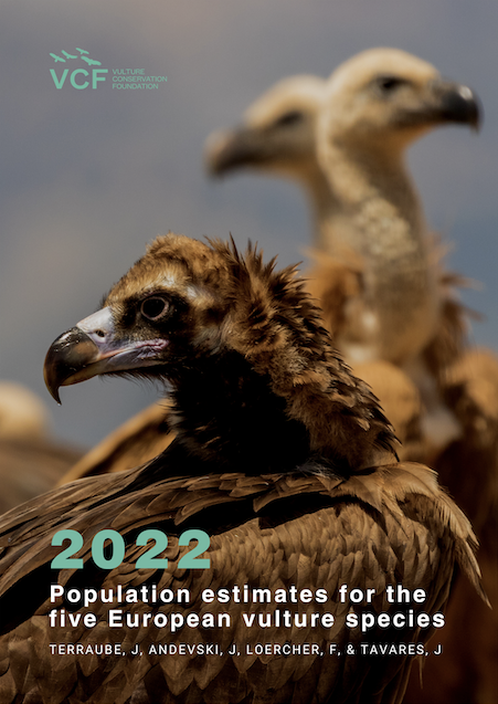 New Report On Vulture Population Estimates In Europe Is Now Available ...