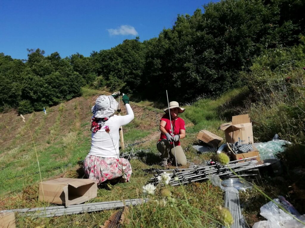 Installing electric fences in Greece to mitigate human-wildlife conflicts and illegal wildlife poisoning © WWF Greece