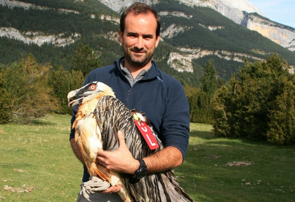 Pascual Lopez - One of Keynote Speakers at the European Vulture Conference 2023