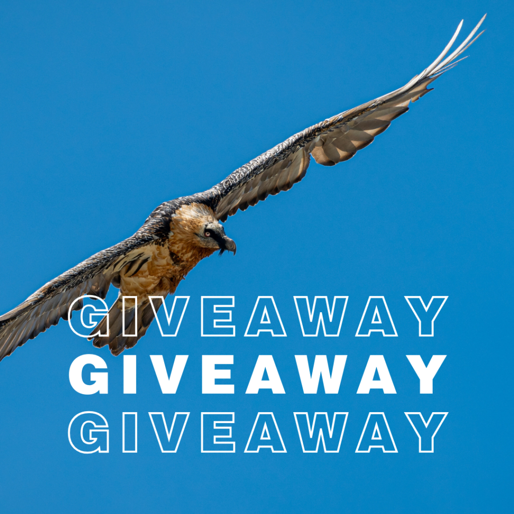 international vulture awarenedd day ivad giveaway rules