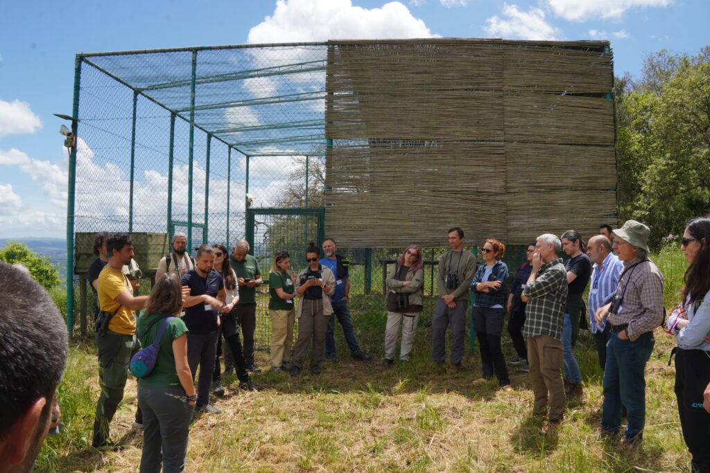 group of people talking in front of a vulture aviary