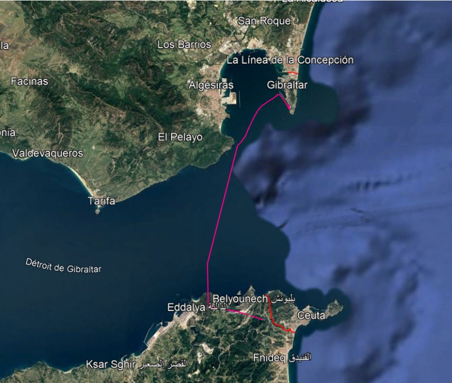satellite map showing the migration route of the Ruppel's vulture GR67 in april-may 2025
