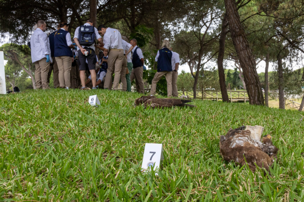 Practical workshops © Iñigo Fajardo