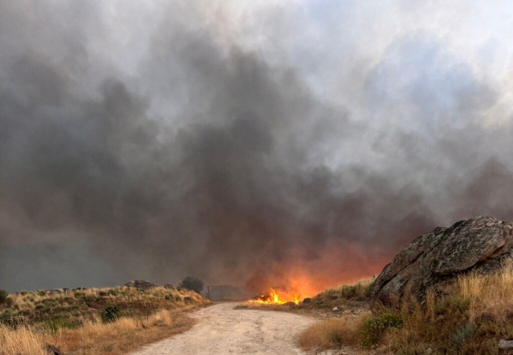 Images of the fire in the Douro Internacional Nature Park ©ICNF; Palombar