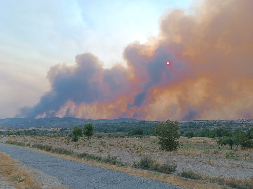 Images of the fire in the Douro Internacional Nature Park ©ICNF; Palombar