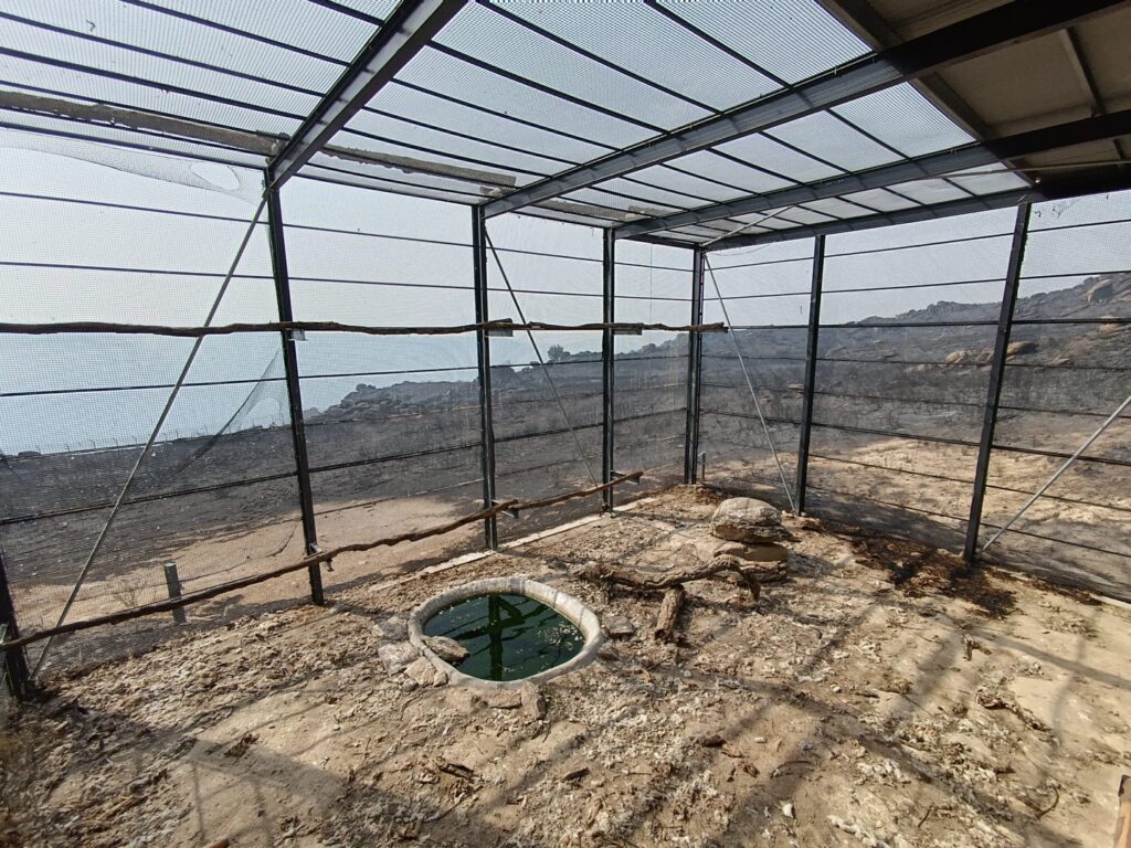 View from inside the acclimatisation aviary and the adjacent feeding area, burnt. ©Palombar 2