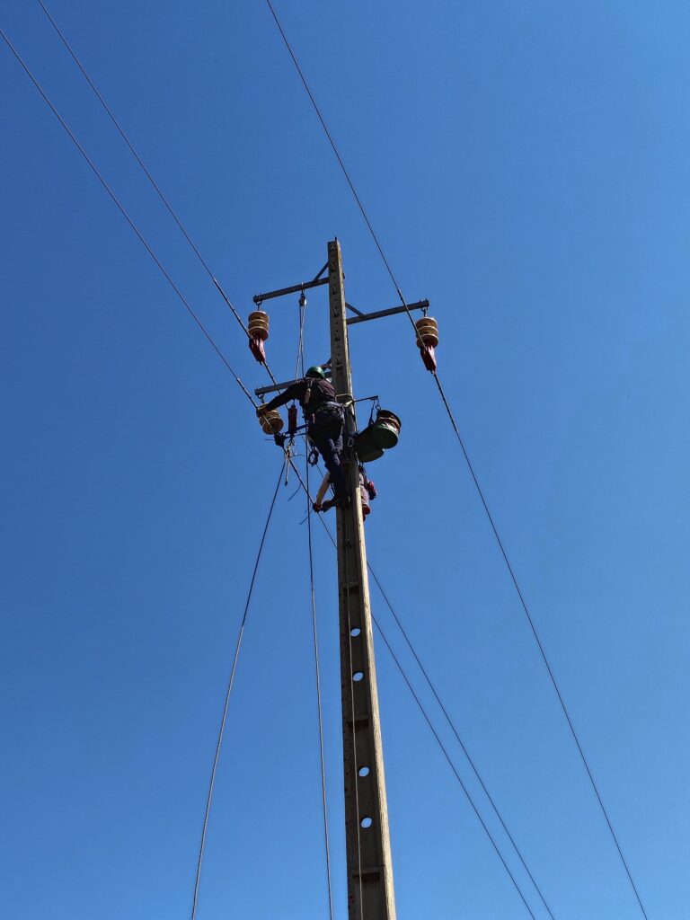 Correction work on power lines under the LIFE PowerLines4Birds project ©Quercus