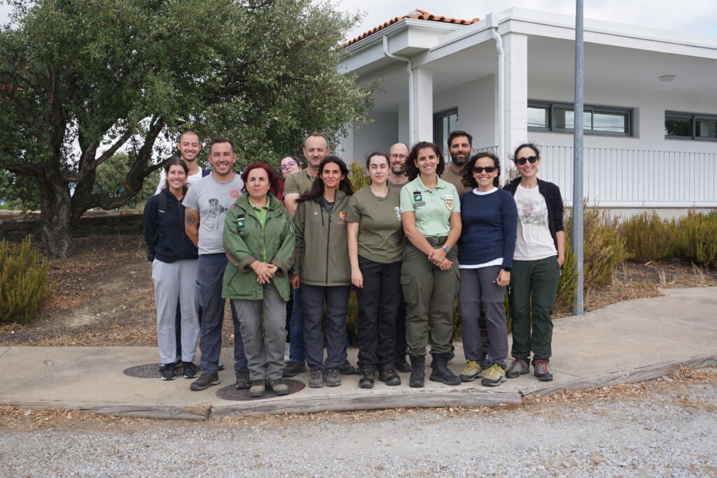 The team involved in the care, checkup, tagging and transport of the Cinereous Vultures back to the acclimatization station © Palombar 
 